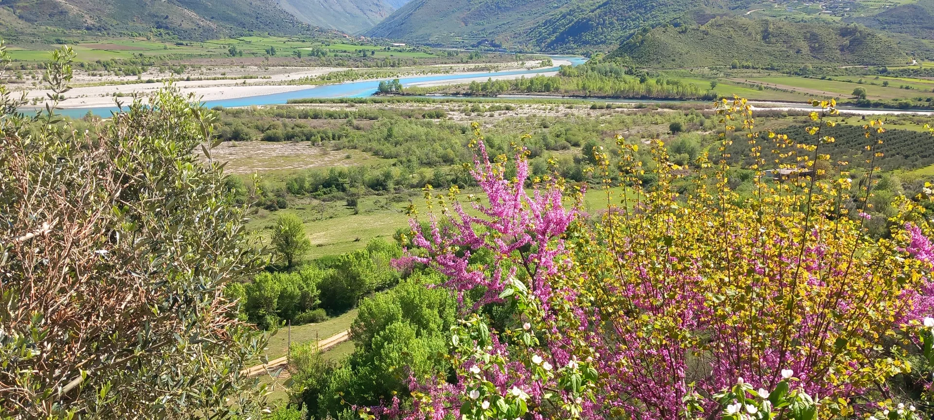 😯Peisazhi natyror relaksues i ofruar nga qyteti i Tepelenës😍